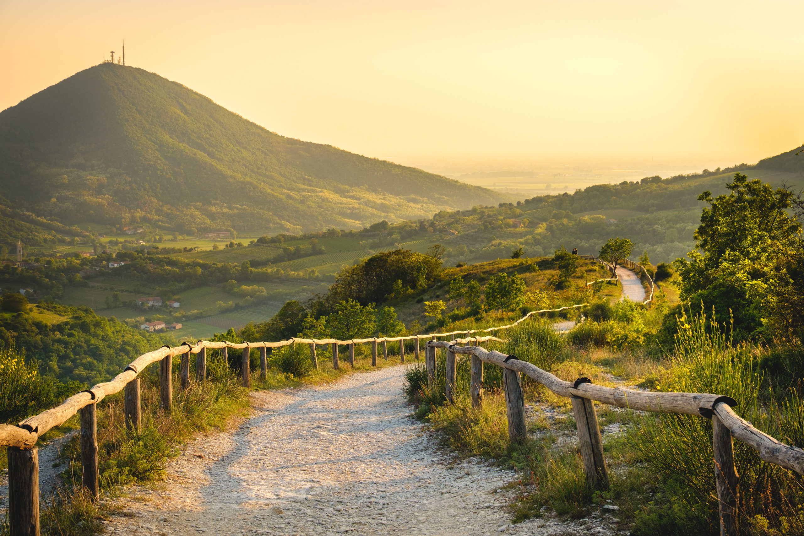 Featured image for “Discover the Delights of The Veneto Region: A Journey Through its Wines”